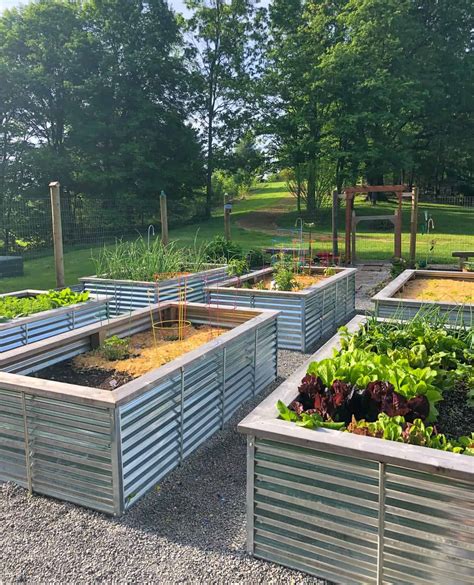 galvanized steel raised garden beds